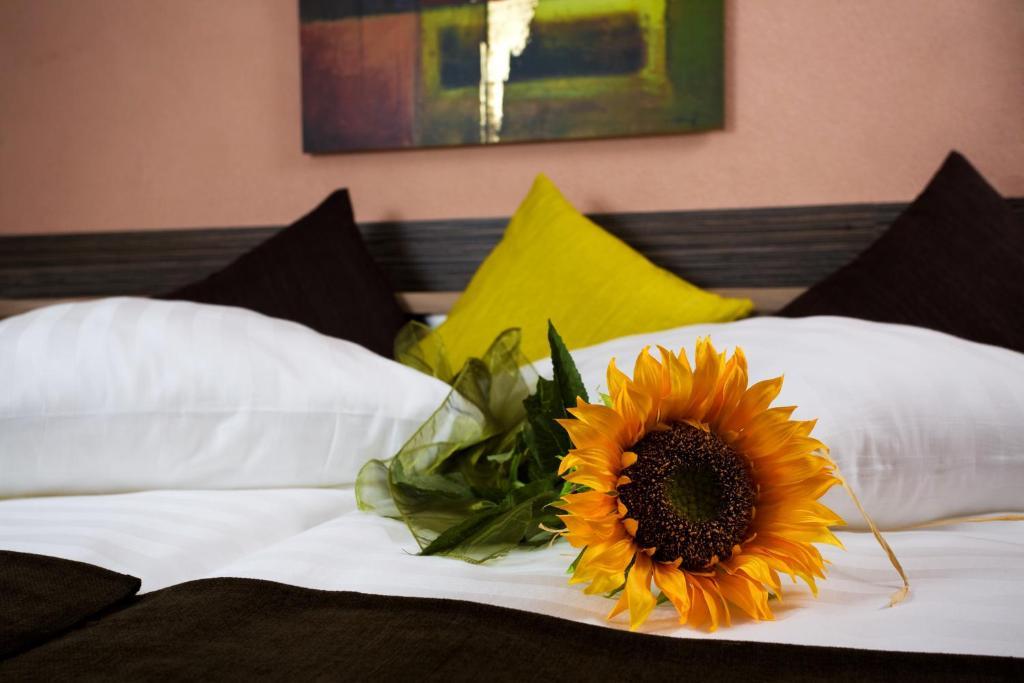 Hotel Relax Раецке-Теплице Номер фото